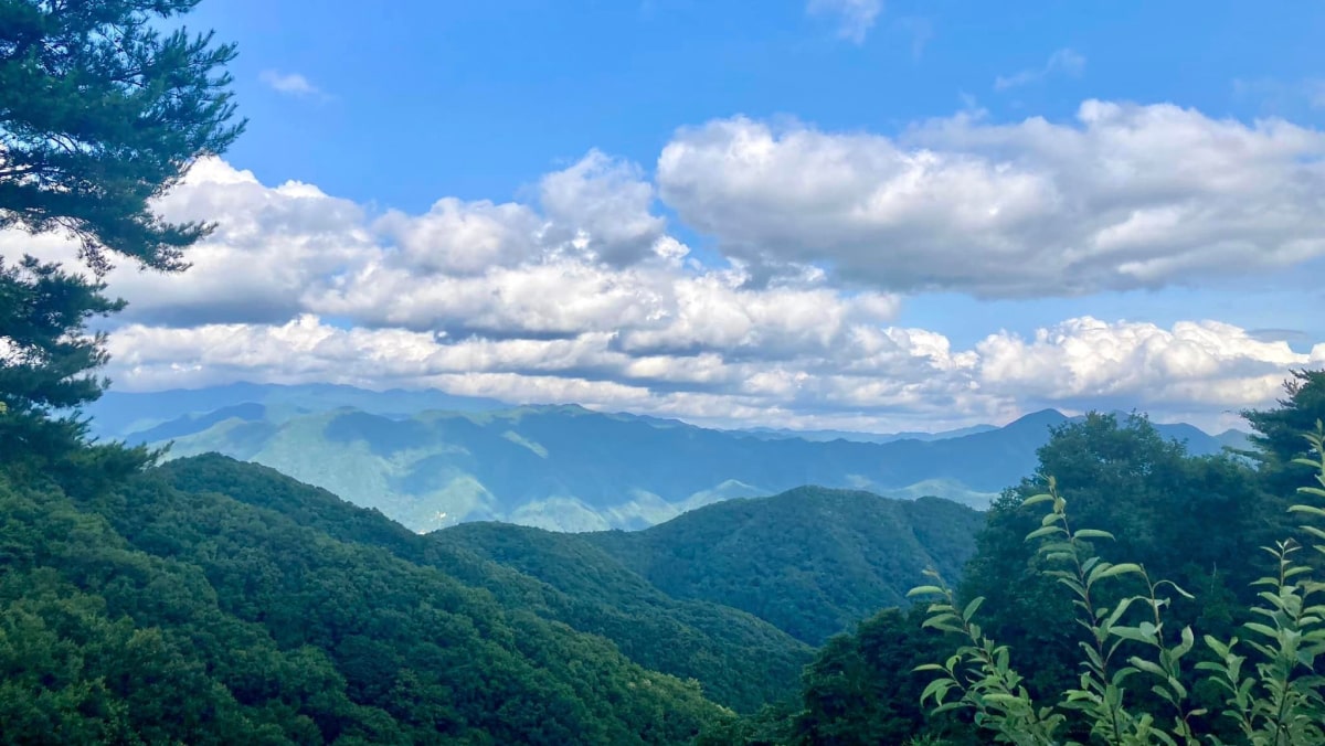 群馬の山から、世界が認める自然派ワインを。| ぐんま山育DAO powerd by DAOX